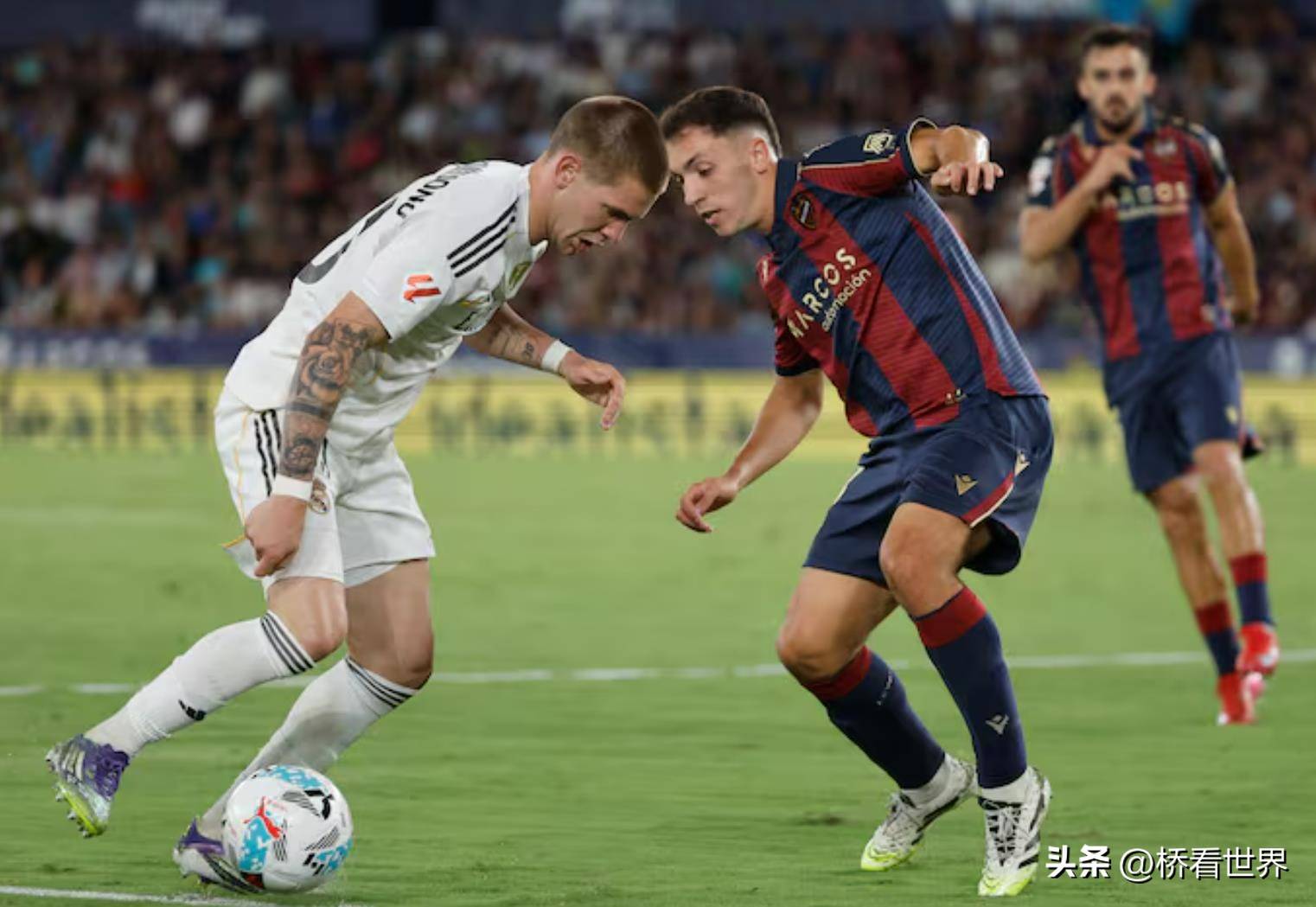 关于曝皇马正全力签下马斯坦托诺转会费4000万欧的信息  第2张