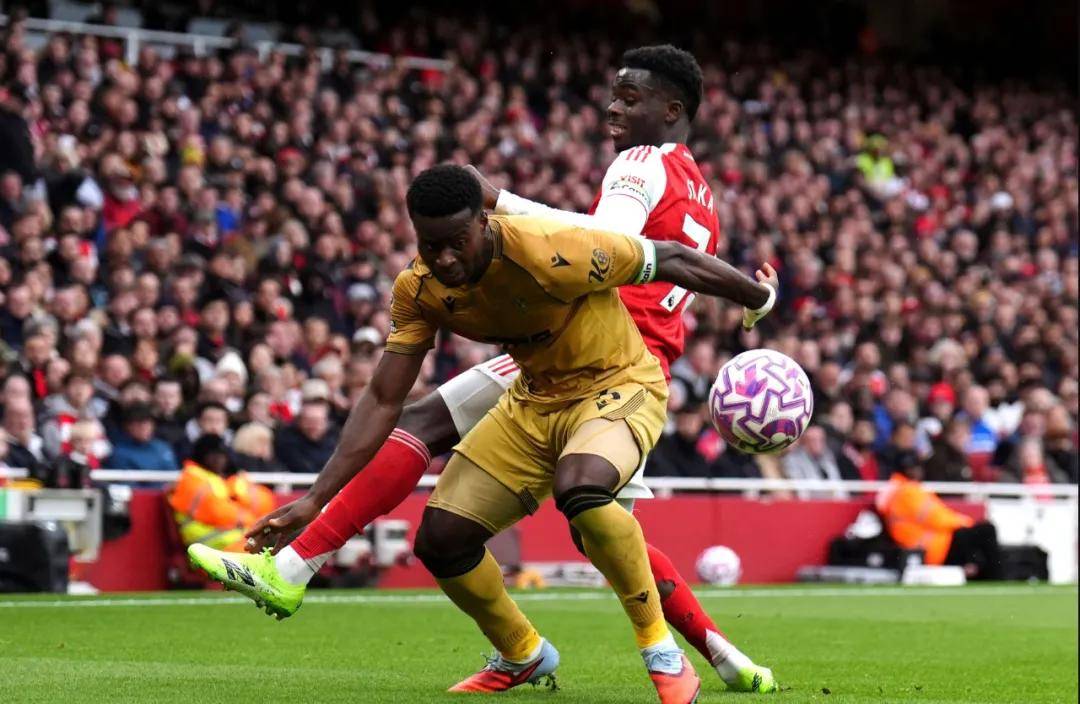 阿森纳多名球员疑似受伤球队需要做出轮换 第2张 阿森纳多名球员疑似受伤球队需要做出轮换 第2张