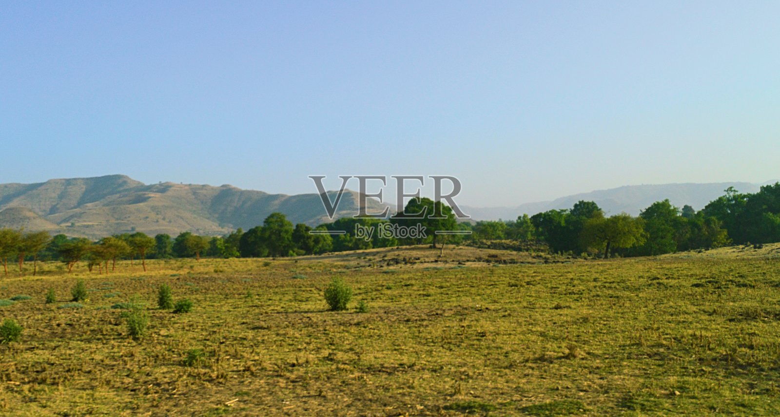 埃塞超：巴赫达尔VS埃塞俄比亚电力的简单介绍  第1张