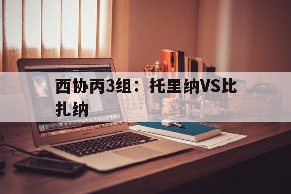 西协丙3组:托里纳VS比扎纳的简单介绍 第1张 西协丙3组:托里纳VS比扎纳的简单介绍 第1张