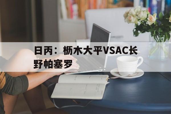 日丙：枥木大平VSAC长野帕塞罗的简单介绍  第1张